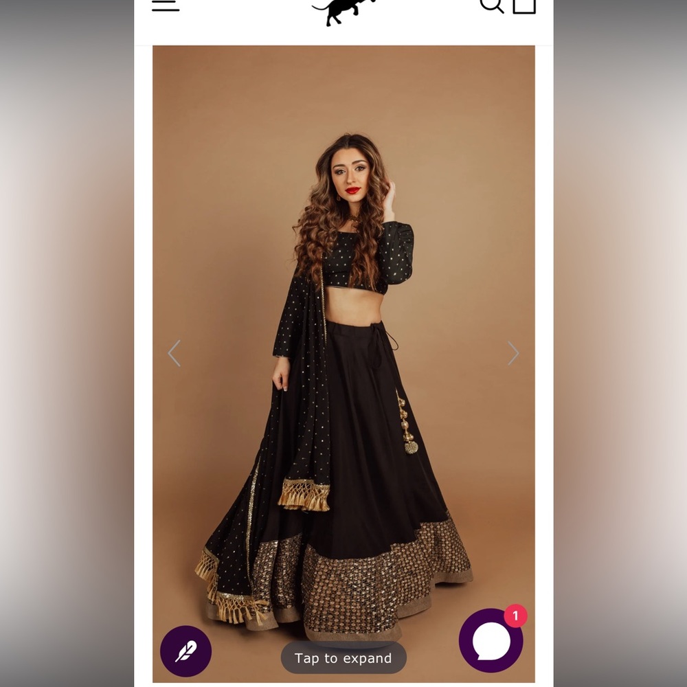 Black Indian choli